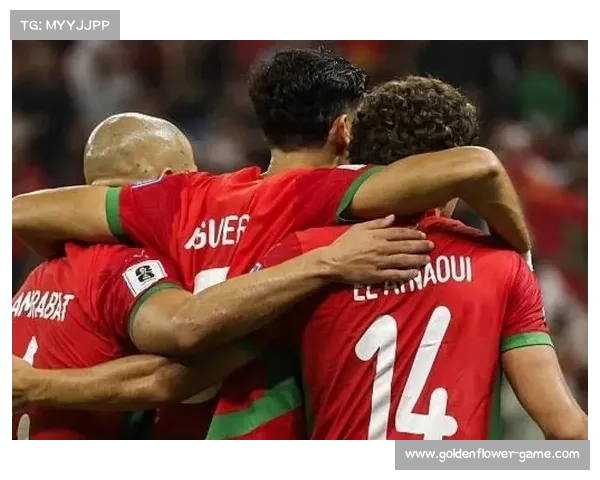 突尼斯世预赛十场比赛零失球 创造历史性奇迹震惊世界 突尼斯世预赛十场比赛零失球 创造历史性奇迹震惊世界