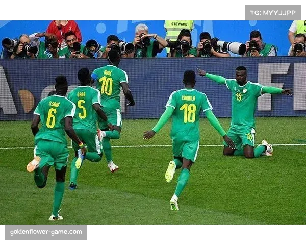 I组成真正死亡之组 法国挪威塞内加尔附加赛队混战